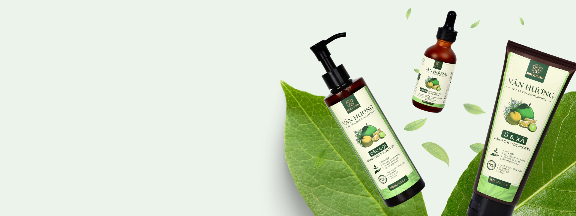 Bắt đầu hành trình sống lành từ Vạn Mộc